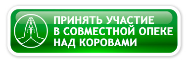 Принять участие в опеке над коровами группы совместной опеки коров mothercow_family